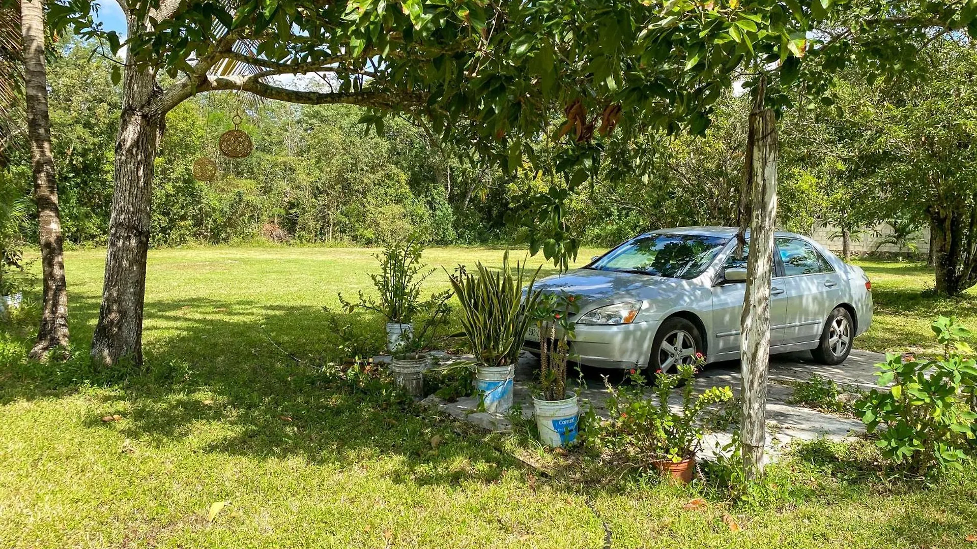 Comoda Y Tranquila Habitacion Rodeada De Naturaleza Cozumel Accommodatie bij particulieren